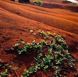 《最终幻想16》公布新真人宣传视频 6月22日发售